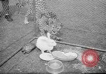 Standbild Whipsnade Zoo Whipsnade England, 1965, aus Sekunde 35 historischem Filmmaterial Videoclip 65675054828