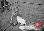 Standbild Whipsnade Zoo Whipsnade England, 1965, aus Sekunde 41 historischem Filmmaterial Videoclip 65675054828