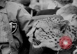 Standbild Whipsnade Zoo Whipsnade England, 1965, aus Sekunde 56 historischem Filmmaterial Videoclip 65675054828
