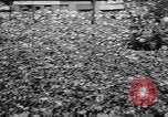 Image of Robert Kennedy Berlin West Germany, 1964, second 8 stock footage video 65675054836