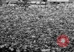 Image of Robert Kennedy Berlin West Germany, 1964, second 9 stock footage video 65675054836
