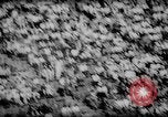 Immagine di 1964 Michigan versus Perdue gioco di calcio Ann Arbor Michigan USA, 1964, secondo 60 filmato di repertorio 65675054840