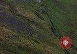 Image of American Skyraider bombing aftermath Vietnam Vietnam, 1965, second 32 stock footage video 65675054853