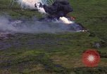 Image of American Skyraider bombing aftermath Vietnam Vietnam, 1965, second 40 stock footage video 65675054853