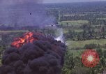 Image of American Skyraider aircraft bombing run Vietnam War Vietnam, 1965, second 11 stock footage video 65675054854