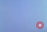Image of huts attacked in bombing mission in Vietnam War Vietnam, 1965, second 30 stock footage video 65675054855