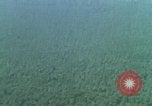 Image of huts attacked in bombing mission in Vietnam War Vietnam, 1965, second 62 stock footage video 65675054855