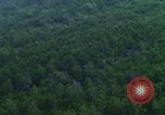 Image of air strike mission bu USAF A-1E in Vietnam Vietnam, 1965, second 9 stock footage video 65675054856
