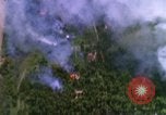 Image of USAF A-1E strafing in Vietnam War Vietnam, 1965, second 12 stock footage video 65675054857