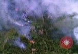 Image of USAF A-1E strafing in Vietnam War Vietnam, 1965, second 13 stock footage video 65675054857