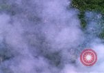 Image of USAF A-1E strafing in Vietnam War Vietnam, 1965, second 17 stock footage video 65675054857