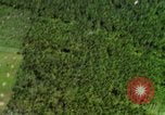 Image of USAF A-1E strafing in Vietnam War Vietnam, 1965, second 29 stock footage video 65675054857