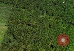 Image of USAF A-1E strafing in Vietnam War Vietnam, 1965, second 30 stock footage video 65675054857