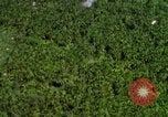 Image of USAF A-1E strafing in Vietnam War Vietnam, 1965, second 32 stock footage video 65675054857