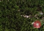 Image of USAF A-1E strafing in Vietnam War Vietnam, 1965, second 53 stock footage video 65675054857