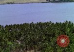 Image of USAF A-1E strafing in Vietnam War Vietnam, 1965, second 59 stock footage video 65675054857