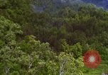 Image of A-1E aircraft dropping bombs Vietnam, 1965, second 41 stock footage video 65675054858