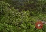 Image of A-1E aircraft dropping bombs Vietnam, 1965, second 43 stock footage video 65675054858