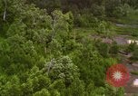 Image of A-1E aircraft dropping bombs Vietnam, 1965, second 45 stock footage video 65675054858
