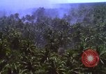 Image Bombardement américain de zones cibles Vietcong Vietnam, 1965, de la seconde 12 séquences d'archives historiques vidéo 65675054859