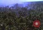 Image Bombardement américain de zones cibles Vietcong Vietnam, 1965, de la seconde 13 séquences d'archives historiques vidéo 65675054859