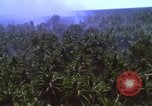 Image Bombardement américain de zones cibles Vietcong Vietnam, 1965, de la seconde 16 séquences d'archives historiques vidéo 65675054859
