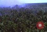 Image Bombardement américain de zones cibles Vietcong Vietnam, 1965, de la seconde 17 séquences d'archives historiques vidéo 65675054859