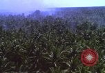 Image Bombardement américain de zones cibles Vietcong Vietnam, 1965, de la seconde 18 séquences d'archives historiques vidéo 65675054859