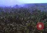 Image Bombardement américain de zones cibles Vietcong Vietnam, 1965, de la seconde 19 séquences d'archives historiques vidéo 65675054859