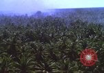 Image Bombardement américain de zones cibles Vietcong Vietnam, 1965, de la seconde 20 séquences d'archives historiques vidéo 65675054859