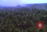 Image Bombardement américain de zones cibles Vietcong Vietnam, 1965, de la seconde 21 séquences d'archives historiques vidéo 65675054859