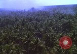 Image Bombardement américain de zones cibles Vietcong Vietnam, 1965, de la seconde 22 séquences d'archives historiques vidéo 65675054859