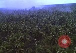 Image Bombardement américain de zones cibles Vietcong Vietnam, 1965, de la seconde 23 séquences d'archives historiques vidéo 65675054859