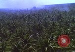 Image Bombardement américain de zones cibles Vietcong Vietnam, 1965, de la seconde 24 séquences d'archives historiques vidéo 65675054859