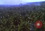 Image Bombardement américain de zones cibles Vietcong Vietnam, 1965, de la seconde 25 séquences d'archives historiques vidéo 65675054859