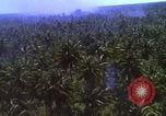 Image Bombardement américain de zones cibles Vietcong Vietnam, 1965, de la seconde 26 séquences d'archives historiques vidéo 65675054859