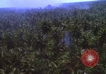 Image Bombardement américain de zones cibles Vietcong Vietnam, 1965, de la seconde 27 séquences d'archives historiques vidéo 65675054859
