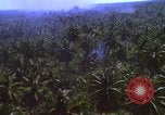Image Bombardement américain de zones cibles Vietcong Vietnam, 1965, de la seconde 28 séquences d'archives historiques vidéo 65675054859