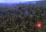 Image Bombardement américain de zones cibles Vietcong Vietnam, 1965, de la seconde 29 séquences d'archives historiques vidéo 65675054859