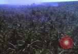 Image Bombardement américain de zones cibles Vietcong Vietnam, 1965, de la seconde 30 séquences d'archives historiques vidéo 65675054859