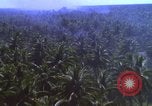 Image Bombardement américain de zones cibles Vietcong Vietnam, 1965, de la seconde 31 séquences d'archives historiques vidéo 65675054859