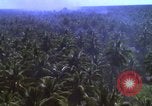 Image Bombardement américain de zones cibles Vietcong Vietnam, 1965, de la seconde 32 séquences d'archives historiques vidéo 65675054859