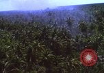 Image Bombardement américain de zones cibles Vietcong Vietnam, 1965, de la seconde 35 séquences d'archives historiques vidéo 65675054859