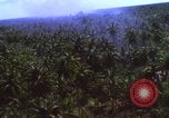 Image Bombardement américain de zones cibles Vietcong Vietnam, 1965, de la seconde 36 séquences d'archives historiques vidéo 65675054859