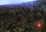 Image Bombardement américain de zones cibles Vietcong Vietnam, 1965, de la seconde 38 séquences d'archives historiques vidéo 65675054859