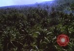 Image Bombardement américain de zones cibles Vietcong Vietnam, 1965, de la seconde 39 séquences d'archives historiques vidéo 65675054859