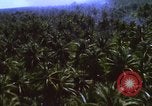 Image Bombardement américain de zones cibles Vietcong Vietnam, 1965, de la seconde 40 séquences d'archives historiques vidéo 65675054859