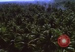 Image Bombardement américain de zones cibles Vietcong Vietnam, 1965, de la seconde 41 séquences d'archives historiques vidéo 65675054859