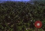Image Bombardement américain de zones cibles Vietcong Vietnam, 1965, de la seconde 45 séquences d'archives historiques vidéo 65675054859