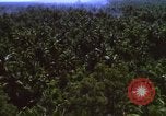 Image Bombardement américain de zones cibles Vietcong Vietnam, 1965, de la seconde 46 séquences d'archives historiques vidéo 65675054859